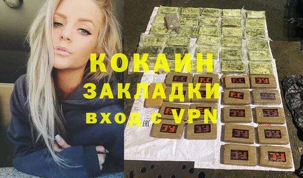 молекула духа Алексин
