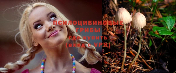 молекула духа Алексин