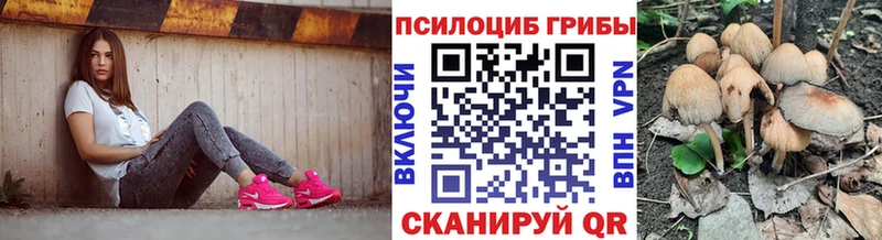 Галлюциногенные грибы прущие грибы  дарк нет какой сайт  Кулебаки 